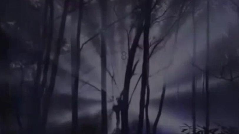 神奇宝贝的作者是谁游戏画面