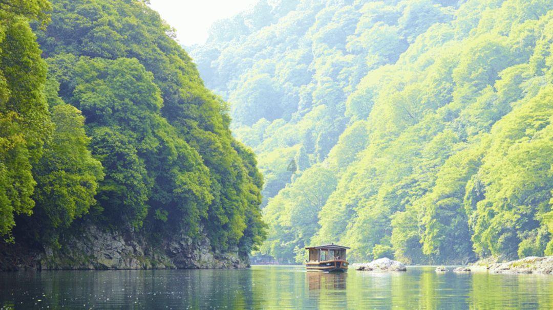炫酷冷知识平台-让你的大脑充满qq显示手机号存在风险怎么办?