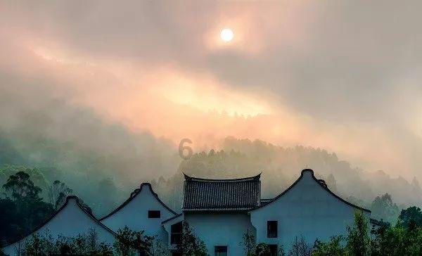 逗小猴开心系列211