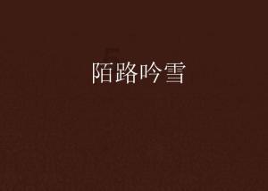 梦幻西游无双