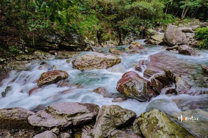 护林员年薪50万不许下山，只能带手机或者媳妇，干不干？游戏画面