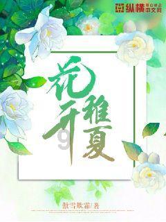 针织裙